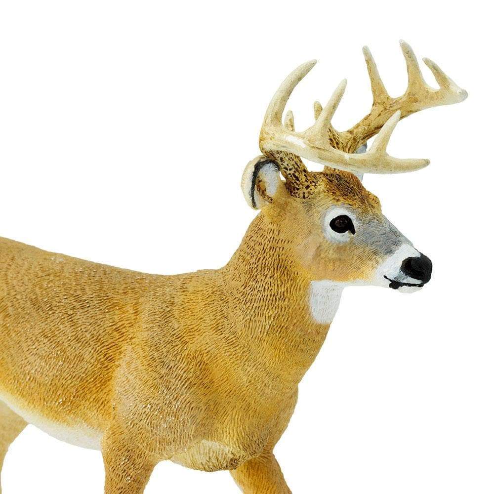 Whitetail Buck Toy | Wildlife Animal Toys | Safari Ltd.