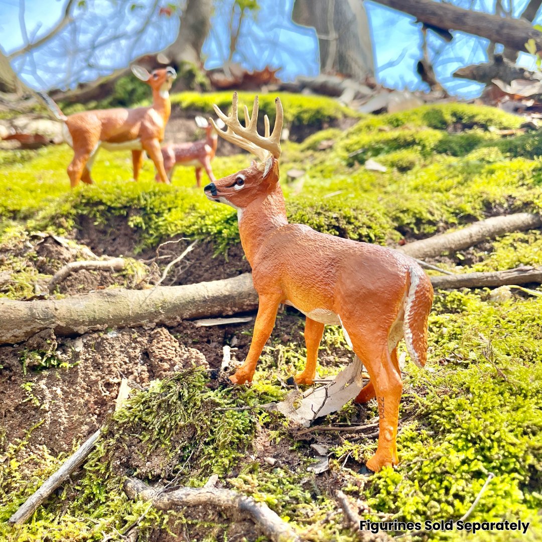 Whitetail Buck Toy - Safari Ltd®