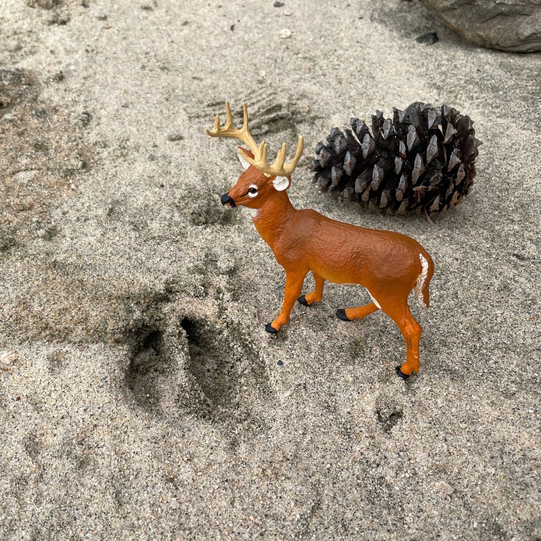 Whitetail Buck Toy - Safari Ltd®