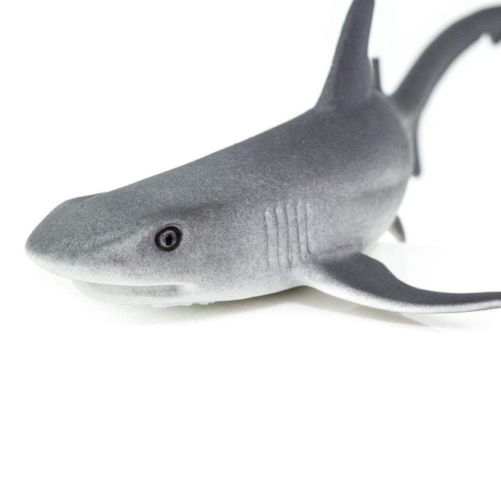 Whitetip Reef Shark Toy - Sea Life Toys by Safari Ltd.