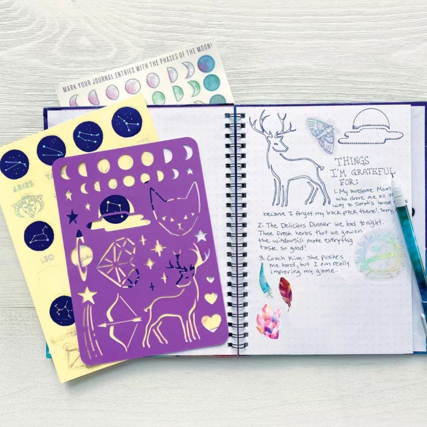 Wish*Craft Moon Phase Journal - Safari Ltd®