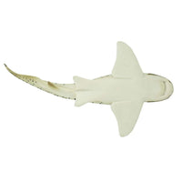 Zebra Shark - Safari Ltd®